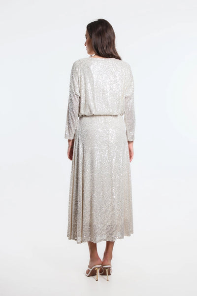 Rae Sequin Long Flare Skirt - Silver