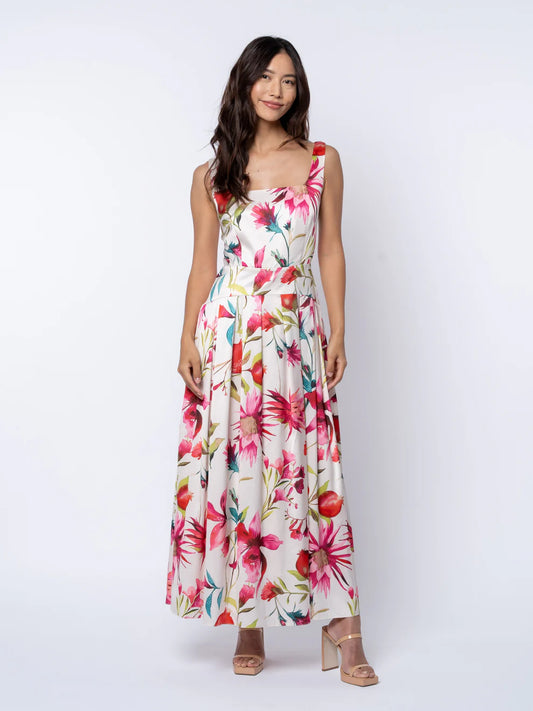 Pomegranate Print Maxi Dress