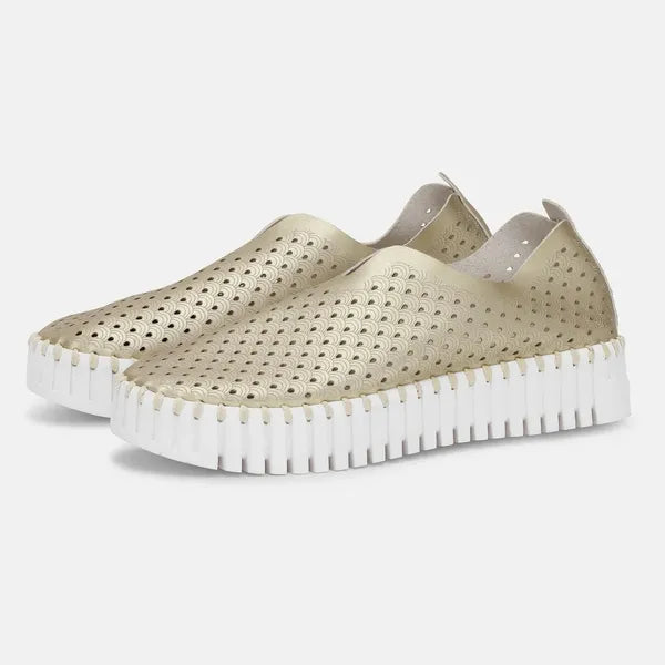 Tulip Platform Peforated Tennis Shoe