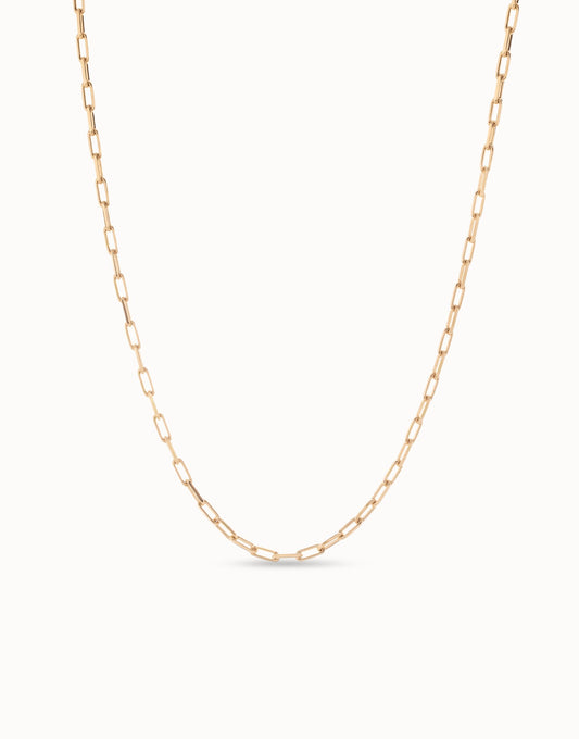 Long Link Chain Necklace