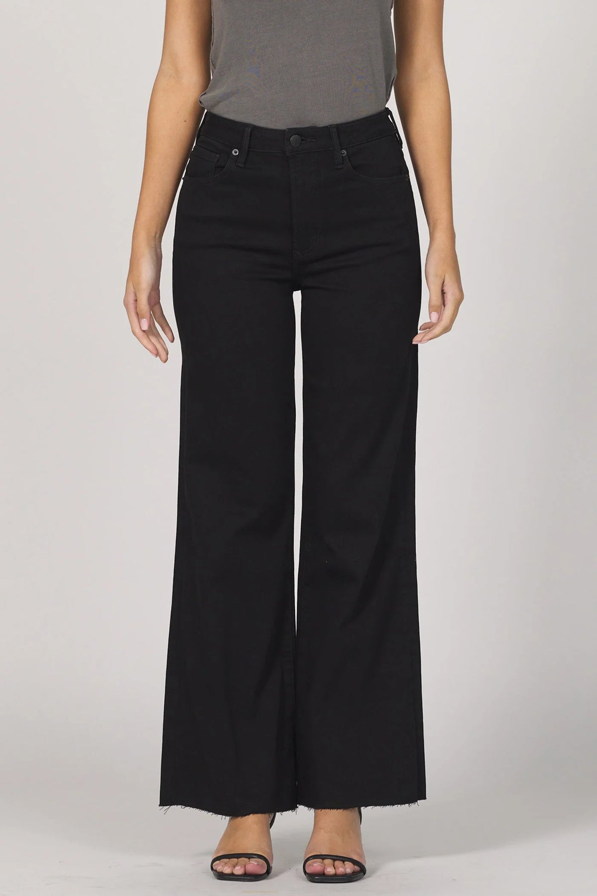 Fiona High Rise Wide Leg Jeans