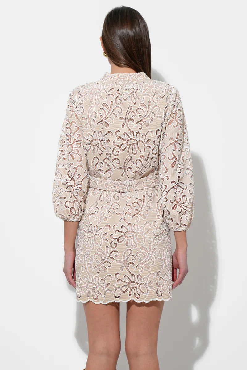 Lina Scalloped Belted Dress