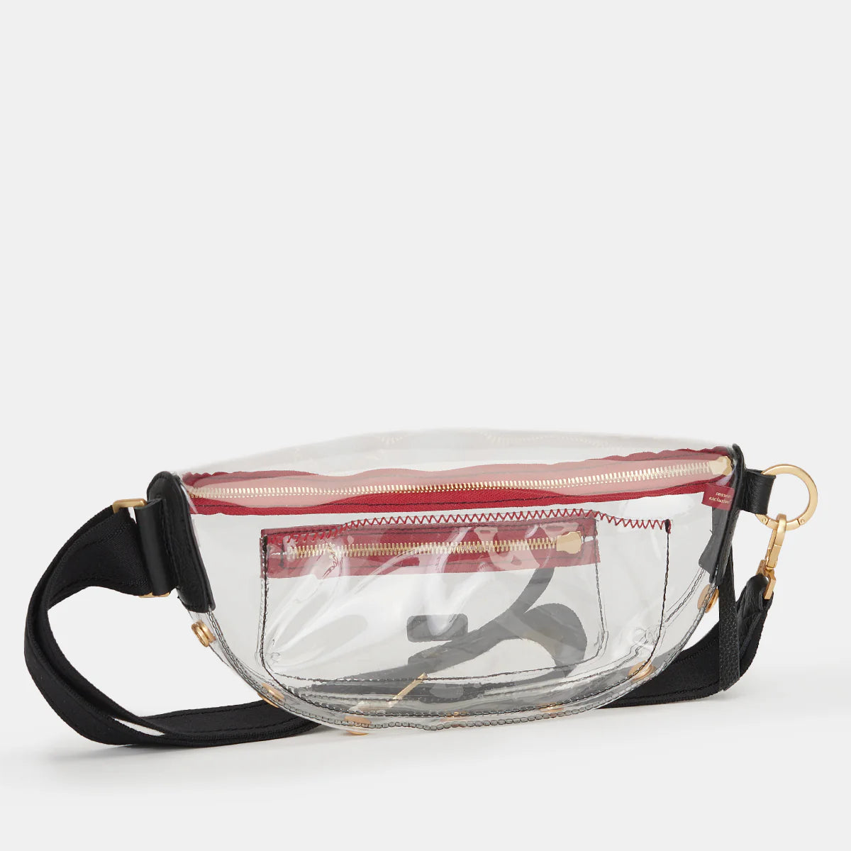 Charles Medium Clear Crossbody