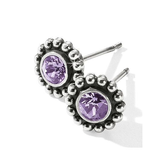 Twinkle Mini Post Earrings - Tanzanite