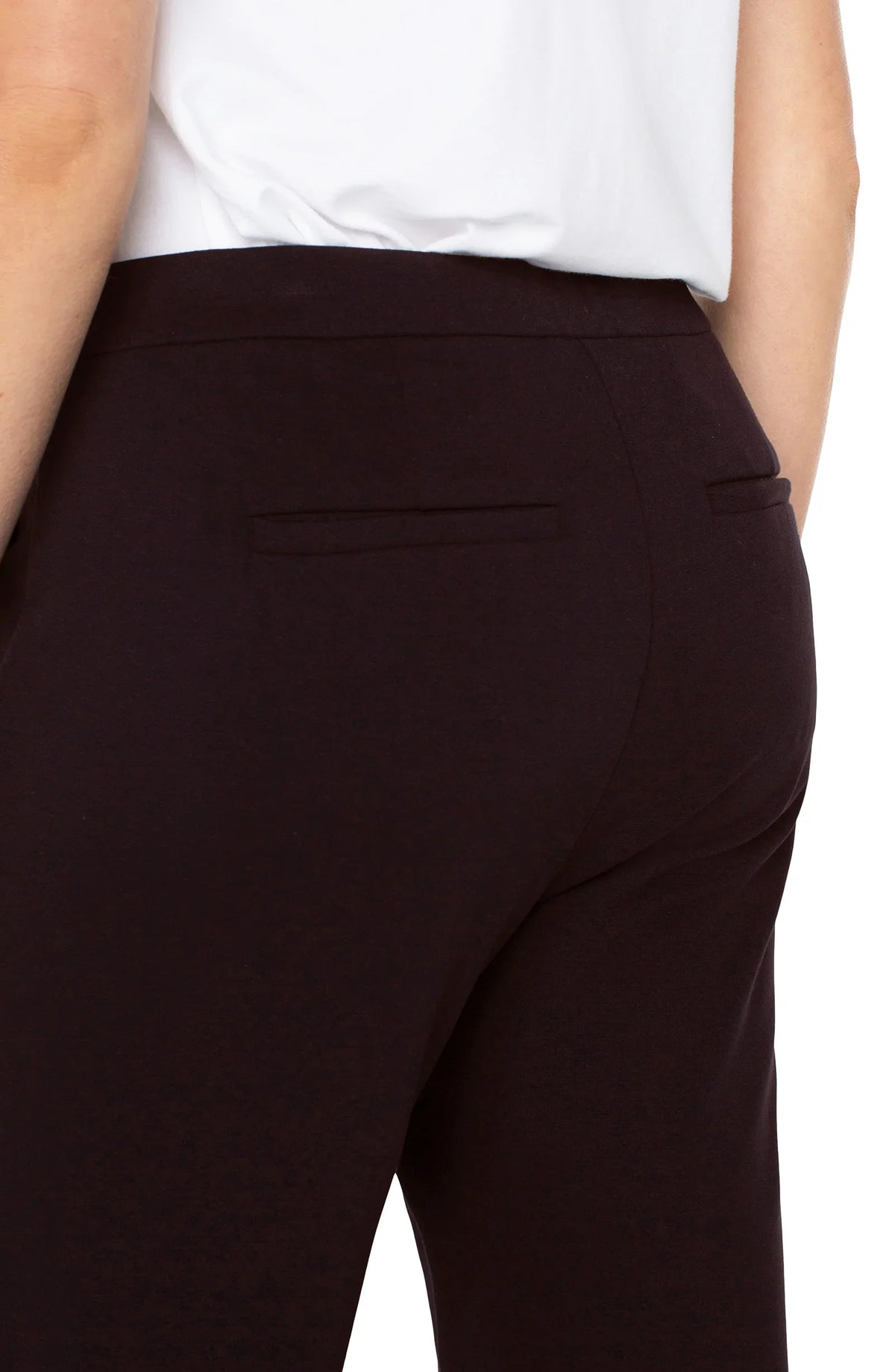 Kayla Wide Leg  Pull-On Trousers